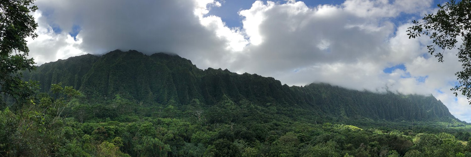 HonoluluDaddy808's banner