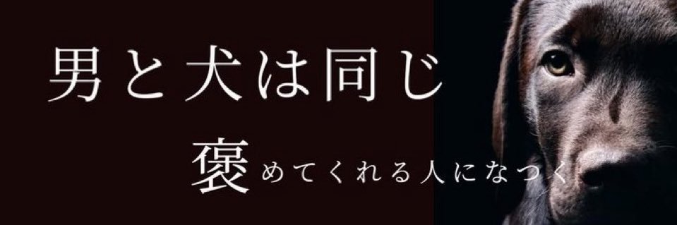 はせにい🪼's banner