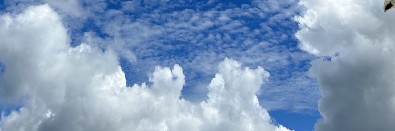 ácido acetilsalicílico's banner