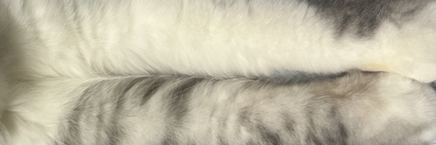 NAME DAVE (closed)'s banner
