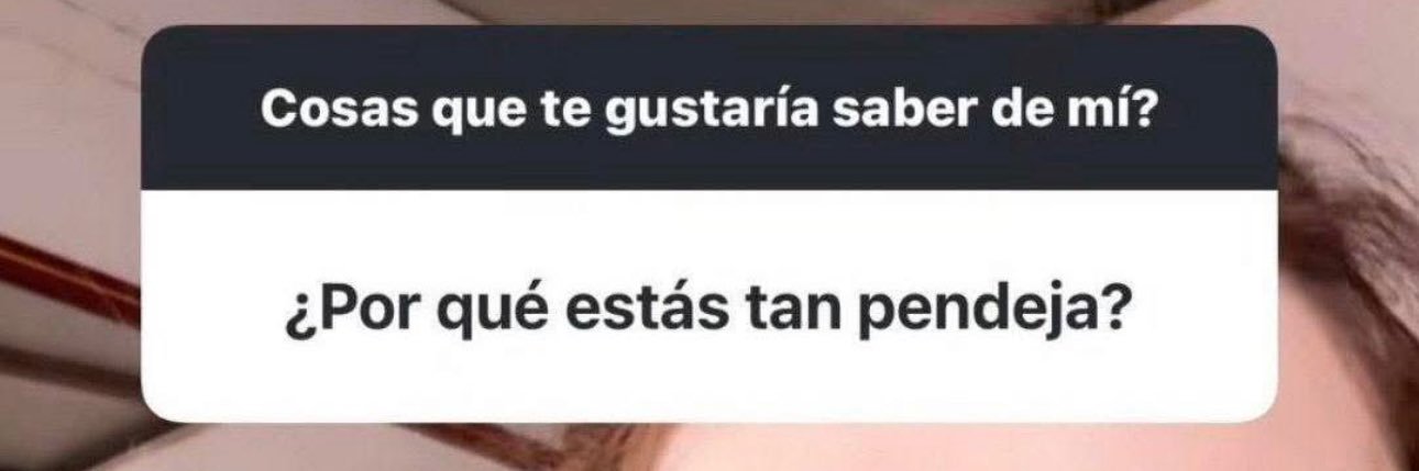 La reina de los gays's banner