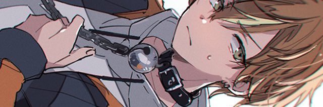 flow's banner