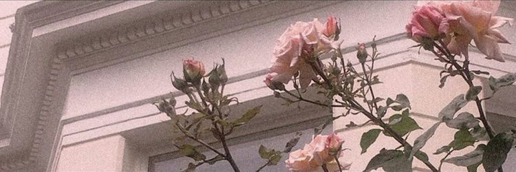 Julita❤️🇦🇷's banner