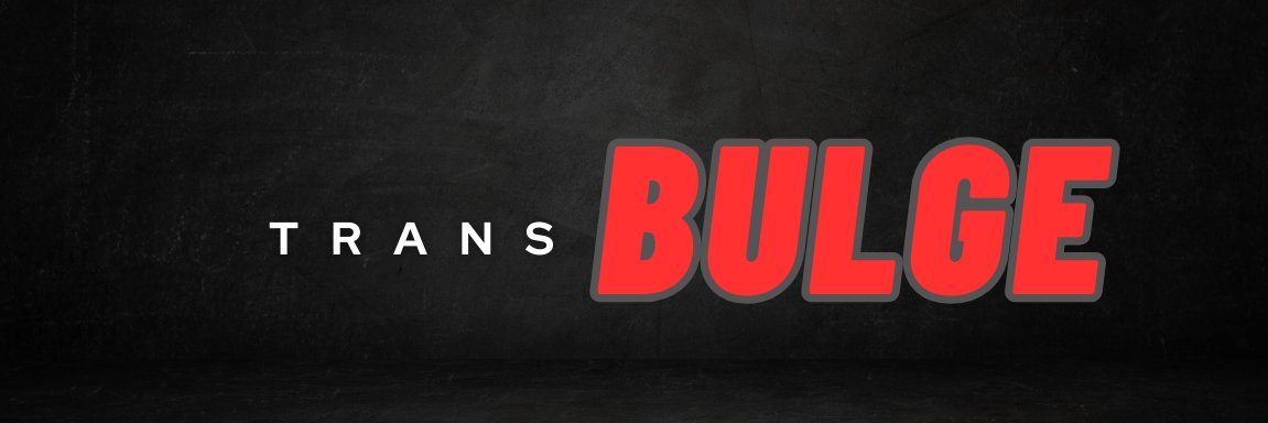 Trans Bulge's banner