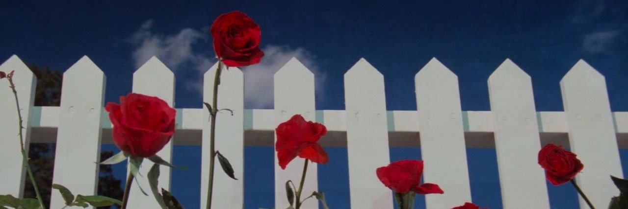 Top FilmTuiter's banner
