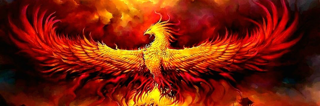 FÊNIX HXG🔥's banner