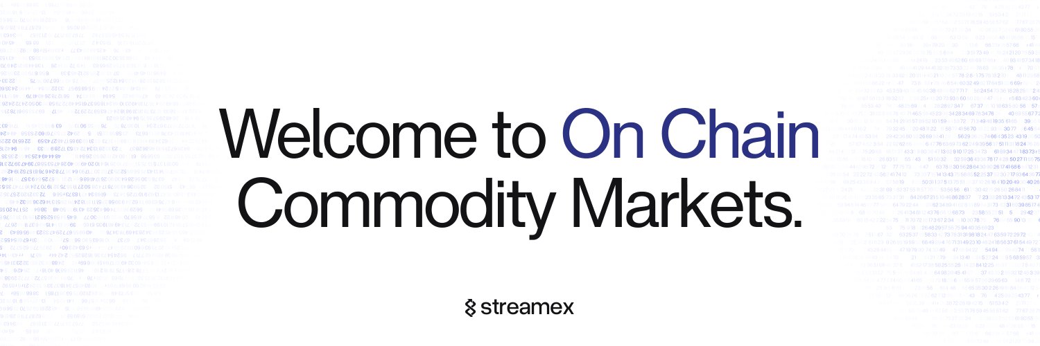 Streamex ( 🪨 , ⛏️ )'s banner