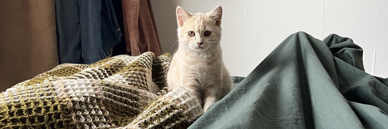 ракушкин's banner