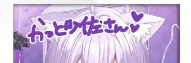 かっと少佐🍙's banner
