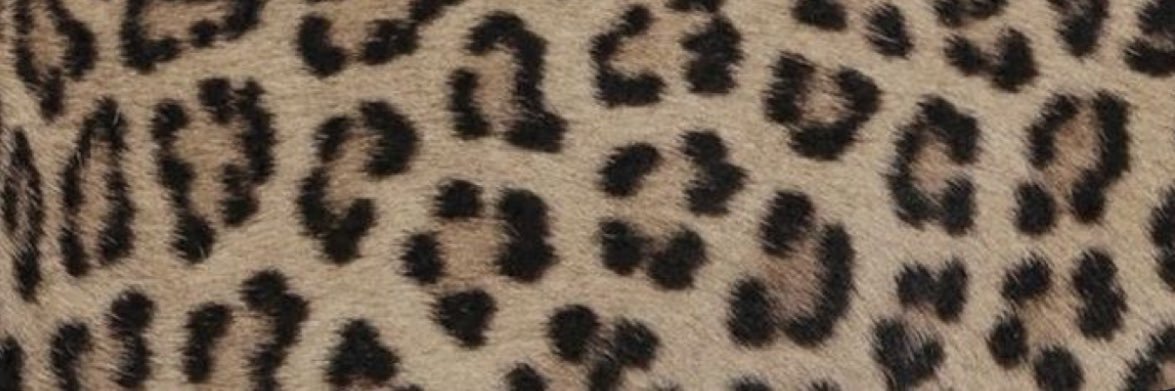 niah's banner