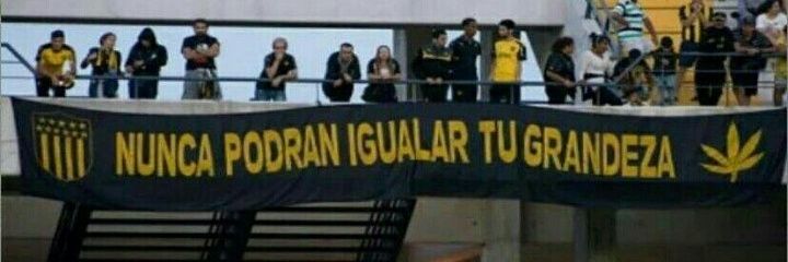 Ale del cap's banner
