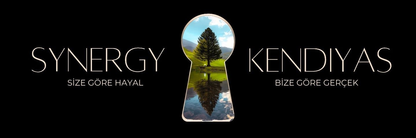 Synergy Kendiyas's banner