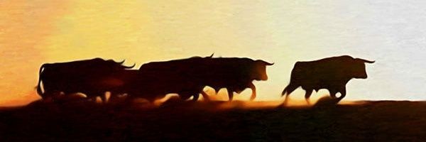Seisyelsobrero's banner
