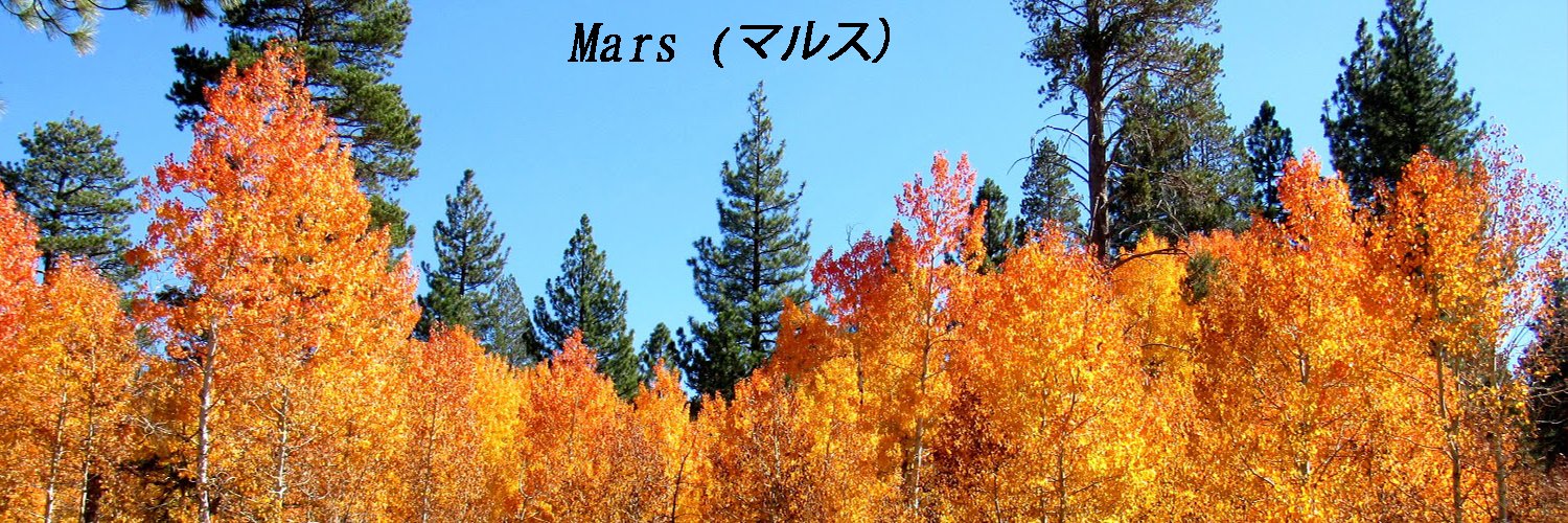 Mars🔞's banner