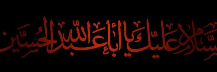 ♡ 𝑺𝒚𝒆𝒅 𝑴𝒐𝒆𝒛 𝑵𝒂ق𝒗𝒊 ♡🇵🇰's banner