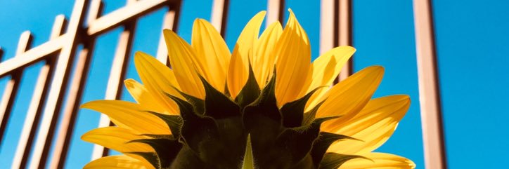 nilo 🤠's banner