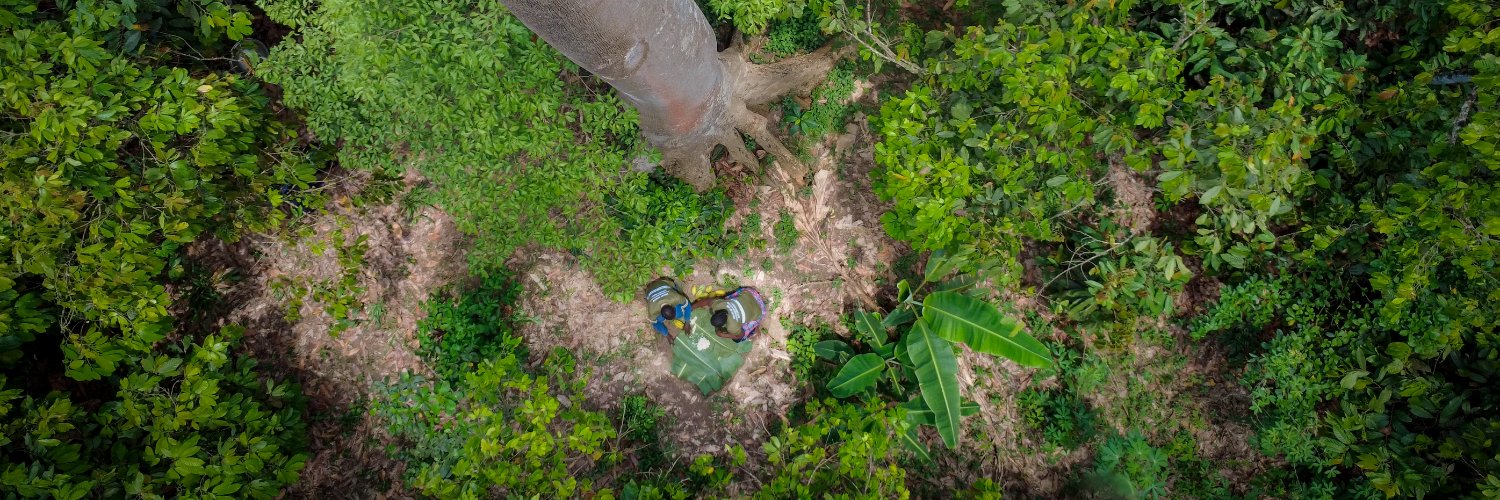 FAO Climate Change, Biodiversity and Environment's banner