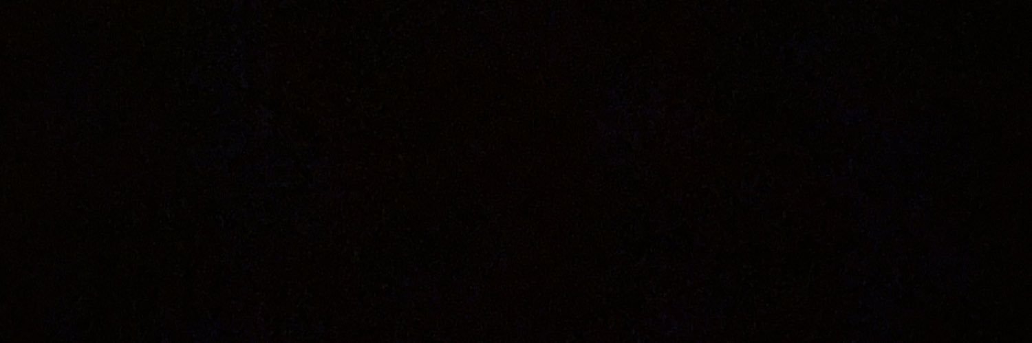 东北暴力直男痞子主's banner