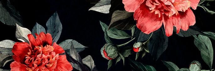 🍂's banner