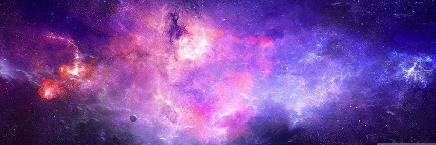 DINA's banner