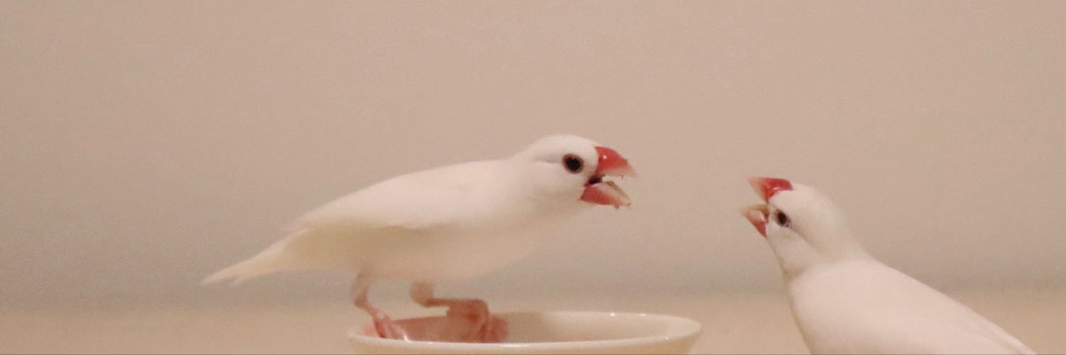 ふくふく堂's banner