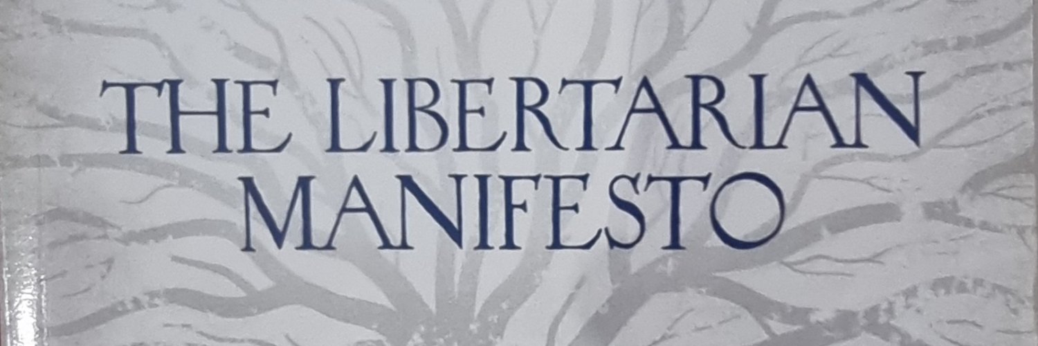 O Desenvolvedor Libertário's banner