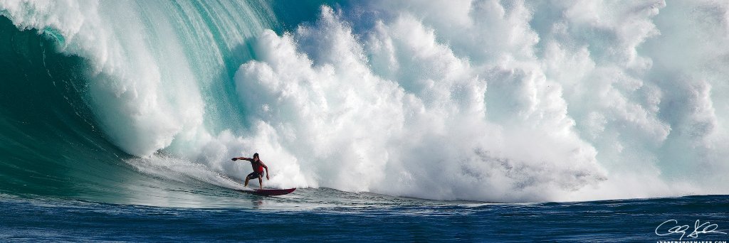 Hawaii News Now's banner