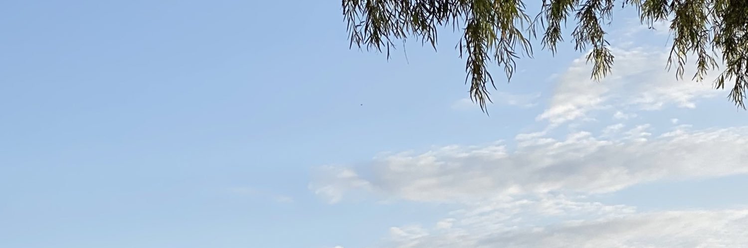 Will's banner