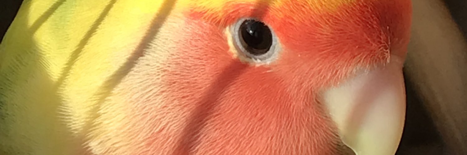 弐億貯男's banner