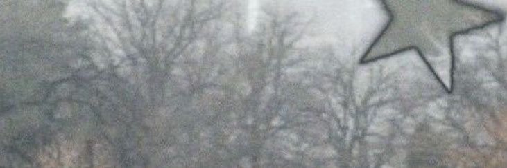 joselyn's banner
