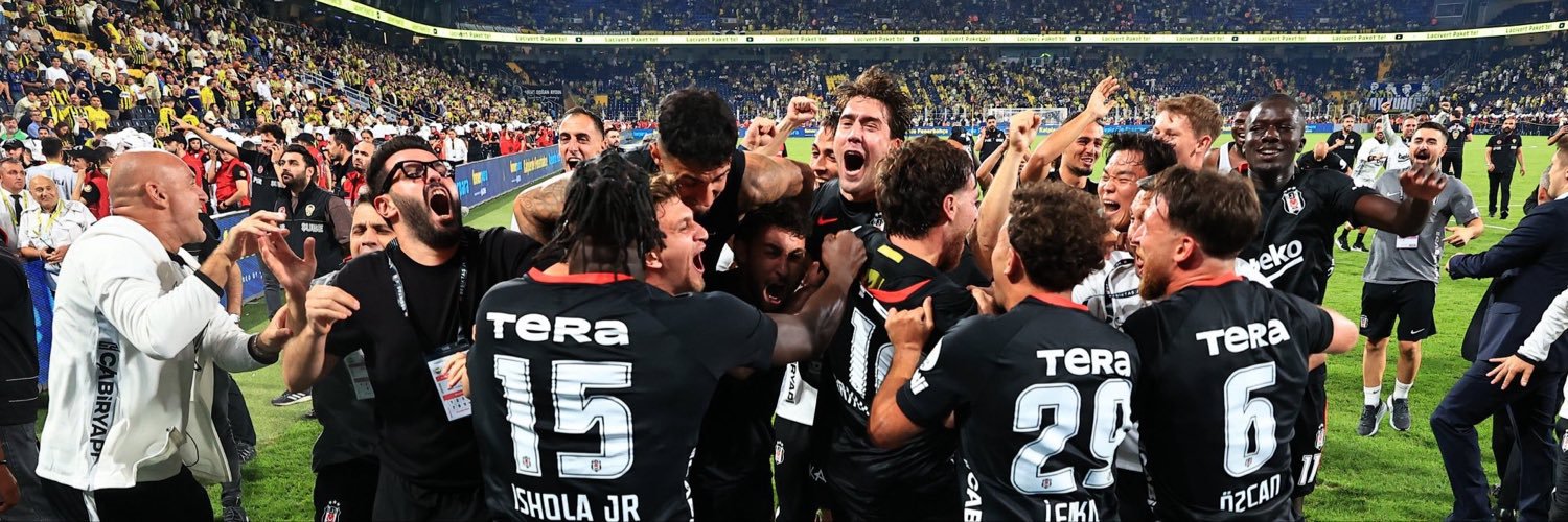 vincenzo's banner