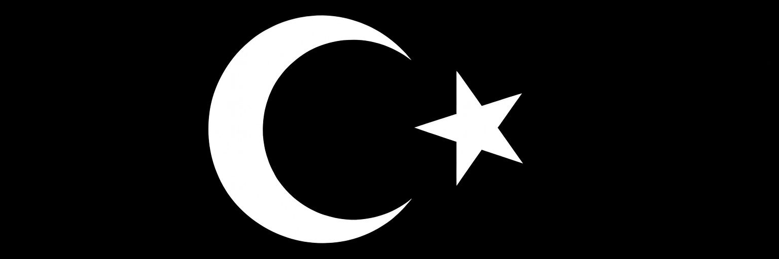 Tansel Baydur's banner