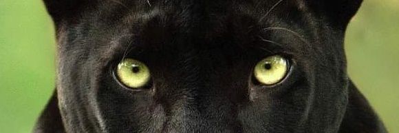 Hirek123's banner