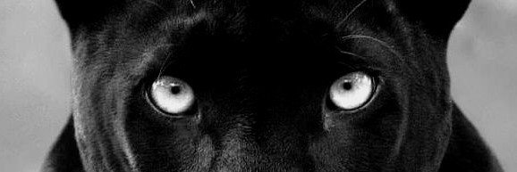 Hirek123's banner