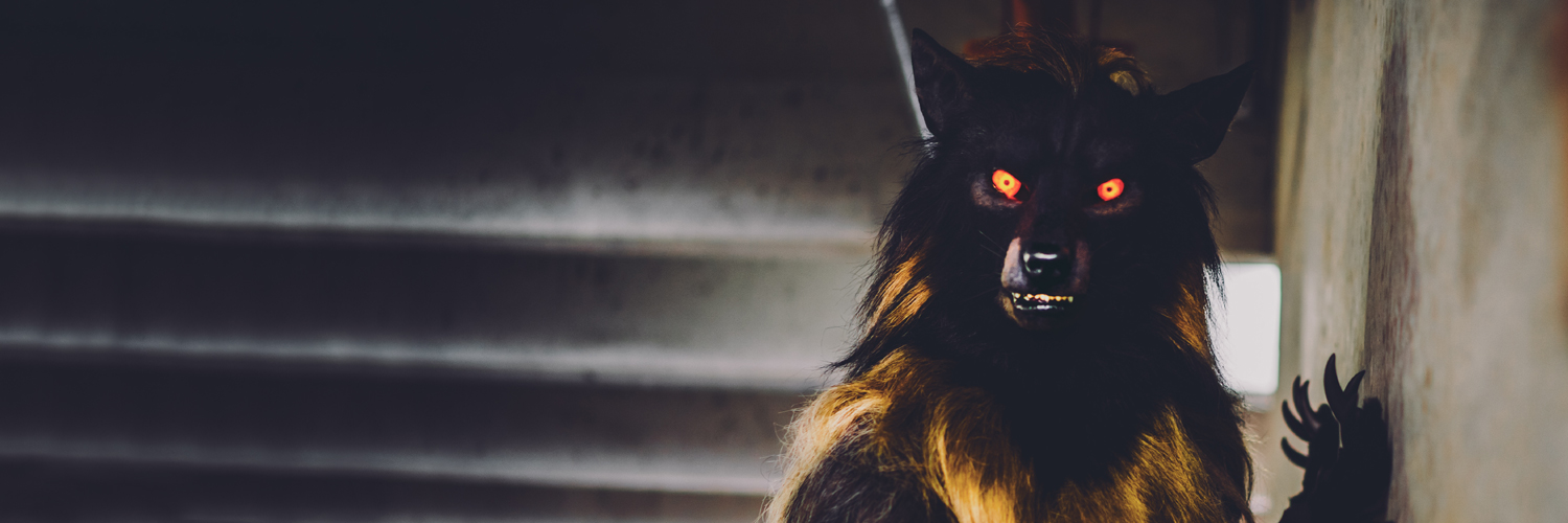 Shaqualhound's banner