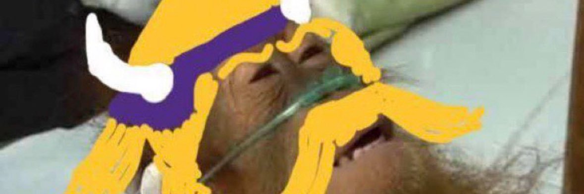 Honest Viking Fan's banner