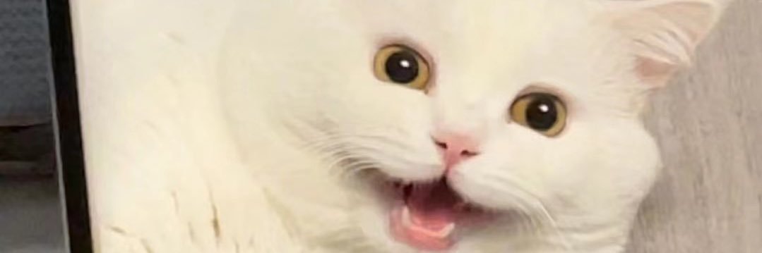 陆鹫贰黑's banner