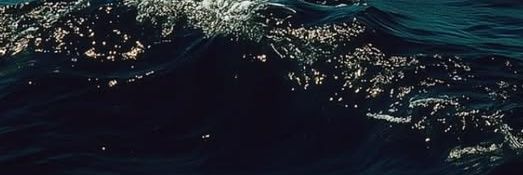 b.🪸's banner