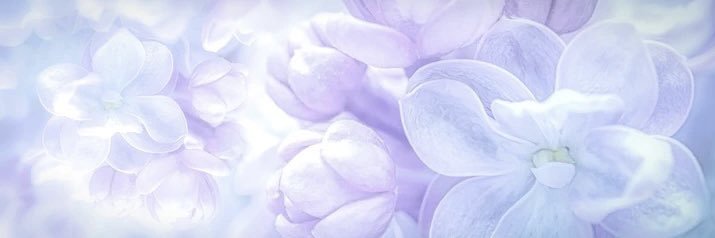 Joy's banner