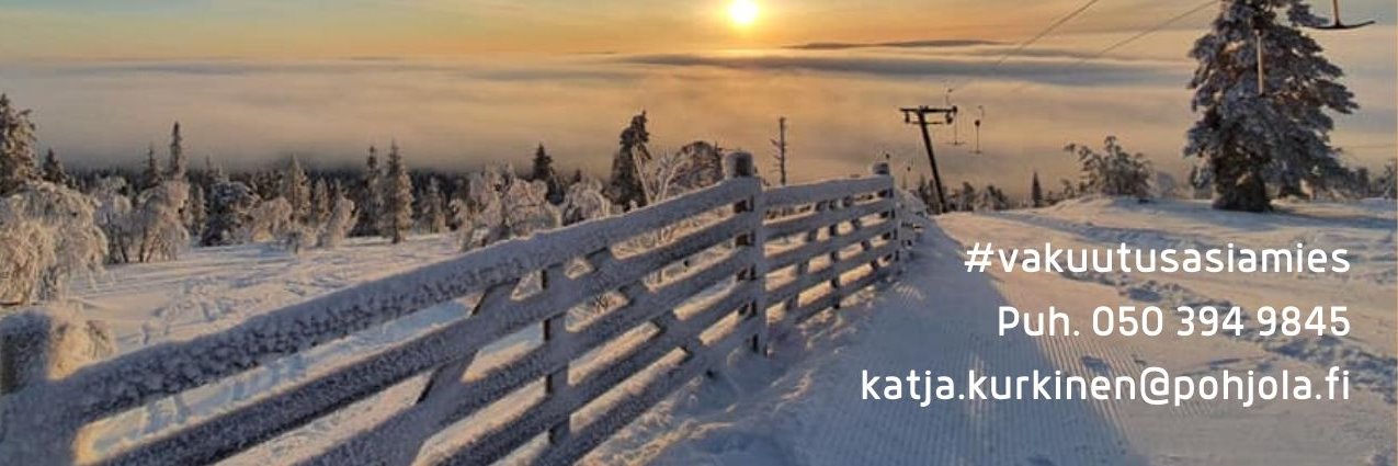 Katja Kurkinen's banner