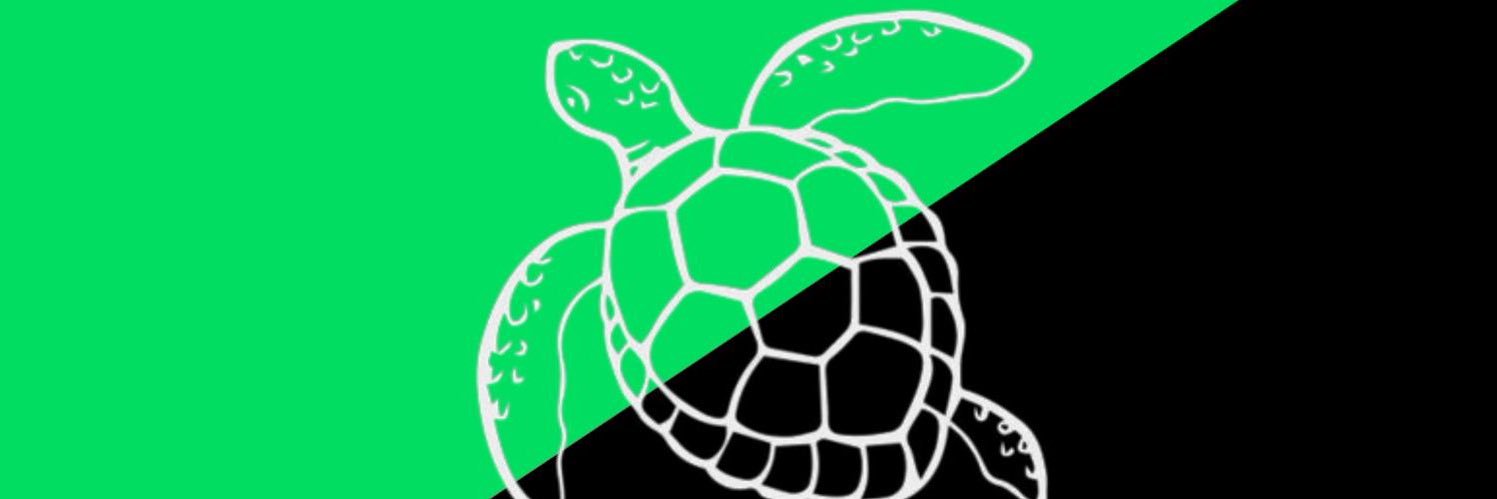 The Anarchist Turtle 🏴Ⓐ🔆🏳️‍⚧️'s banner