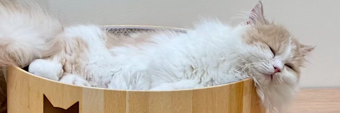 トモロック's banner