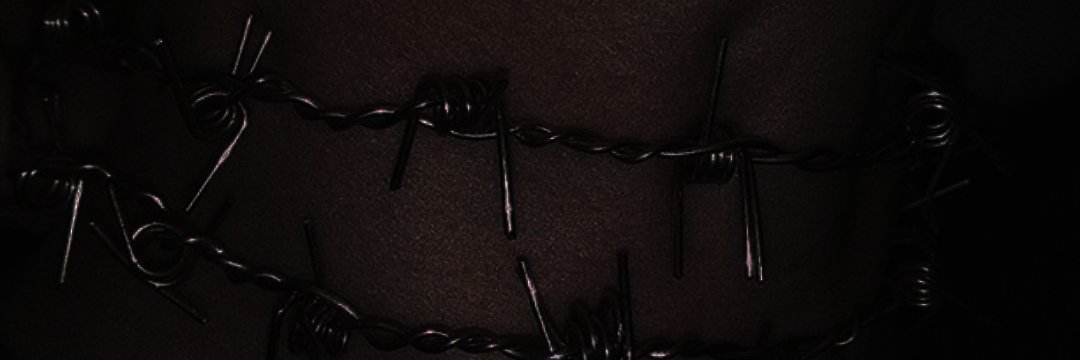 이불's banner