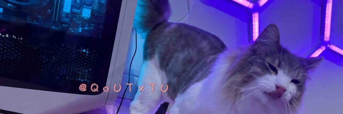 Qooᙏ̤̫͚🥕🐾's banner