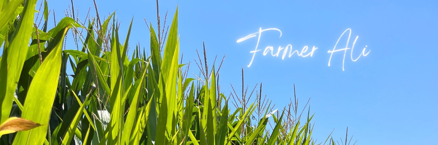 Farmer Ali's banner