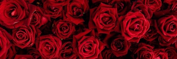 ✨💋 Jennifer Fox 💋✨ 18+'s banner