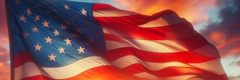 🇺🇸 Maga Viking 🇺🇸's banner