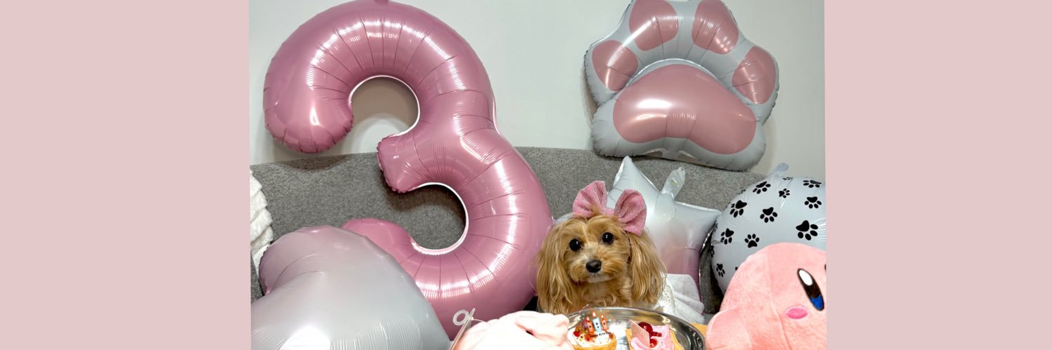 苺牛乳🍓🍼(いちみる)'s banner