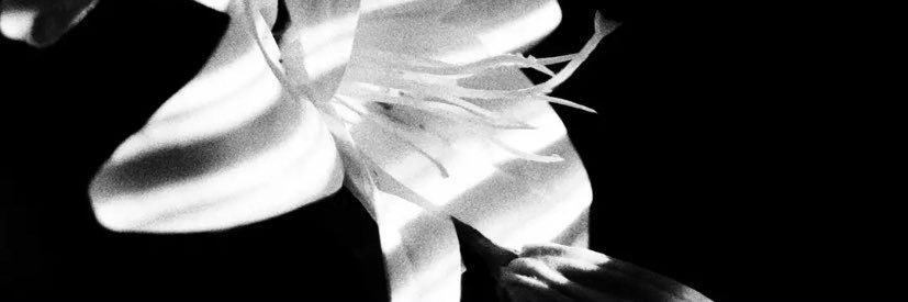 再深's banner