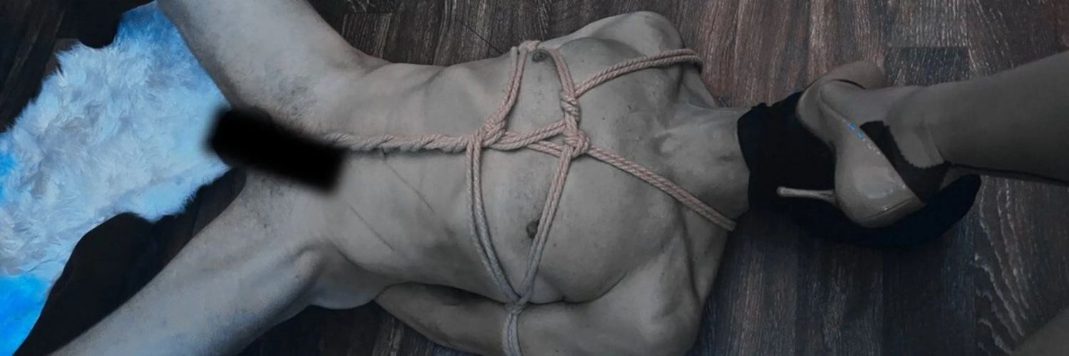 Dr. Waffle's banner